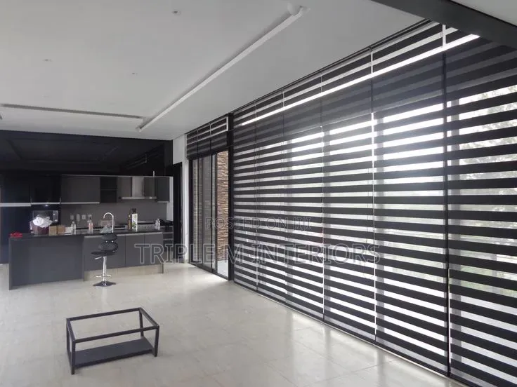 Elegant Pull-Down Blinds for Office Use