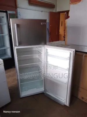 Clean and Smart Ramtons Fridge