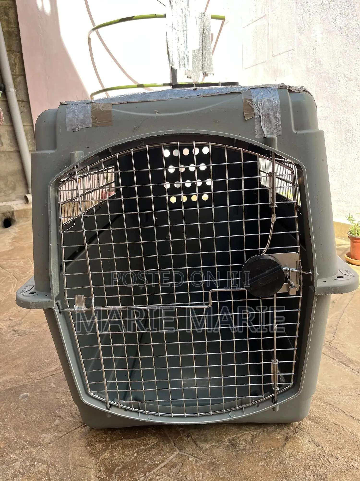 Dog Cage Xl