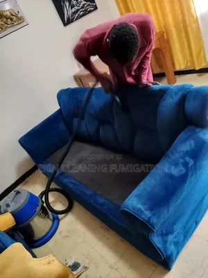 Furniture Cleaning Sofas Mattresses Carpets