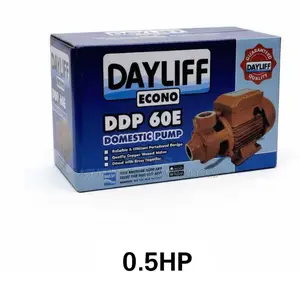 Dayliff Econo DDP 60e Domestic Pump.