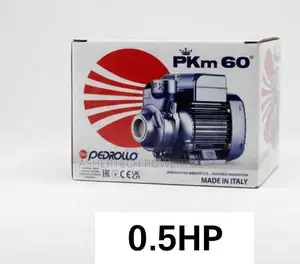 Original Pedrollo PKM 60 Peripheral Impeller Water Pump
