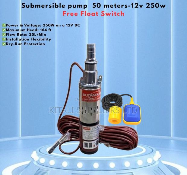Rutanpump 12v 250w Submersible Solar Water Pump