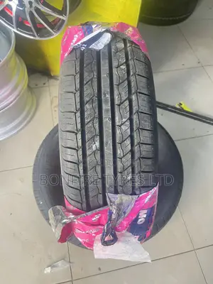 195/65r15 Dyamo