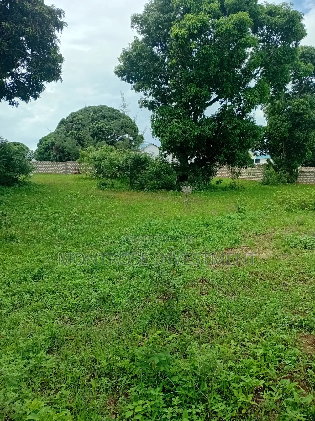 Price Drop1⁄2 Acre Plot for Sale in Malindi– Great Investment
