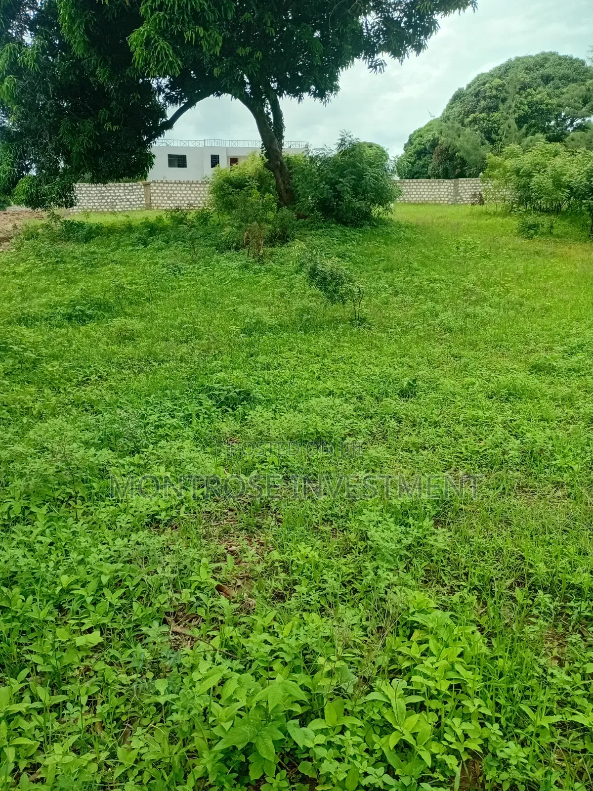 Price Drop1⁄2 Acre Plot for Sale in Malindi– Great Investment