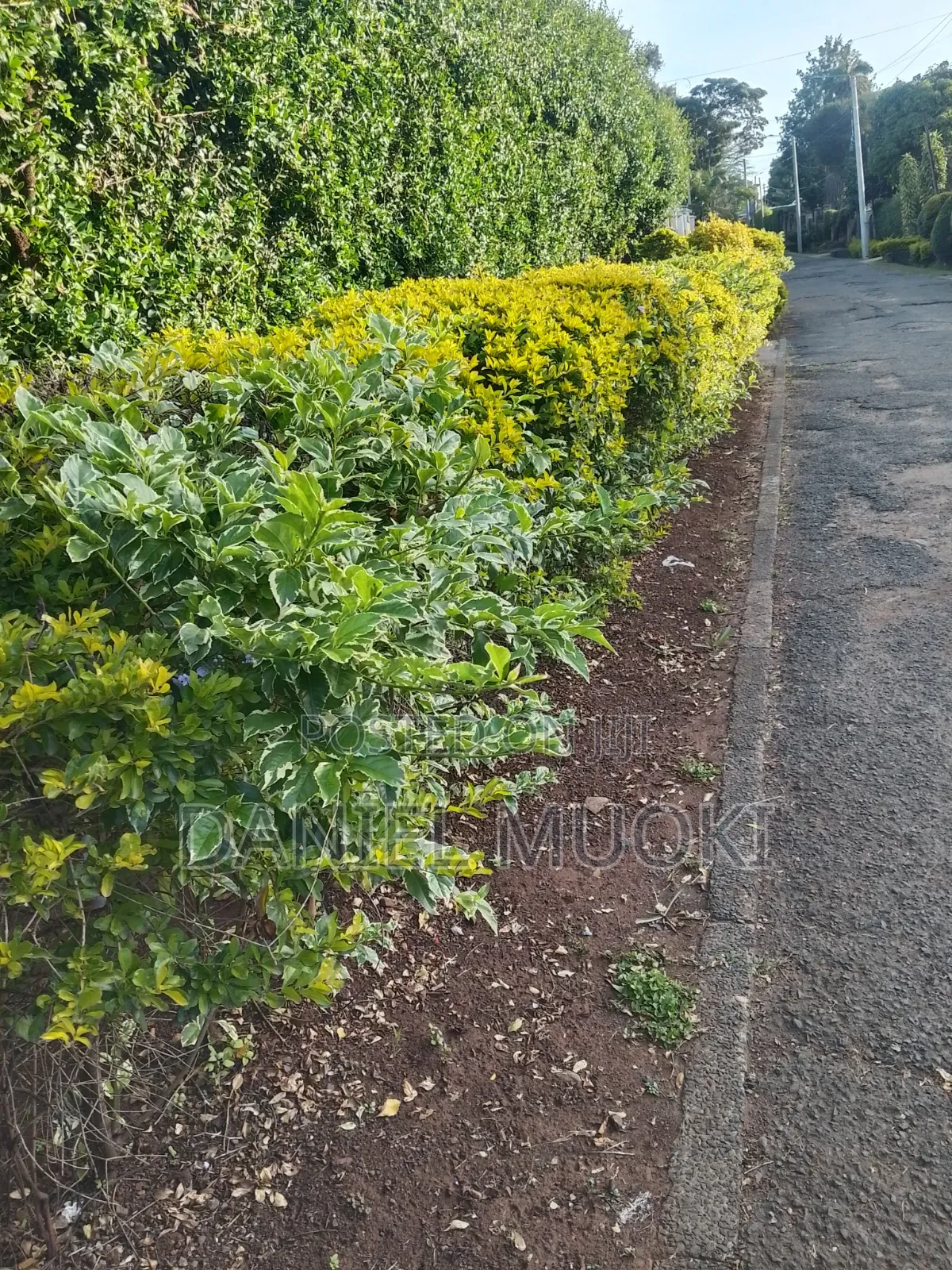 Plot on Sale Land in Sale