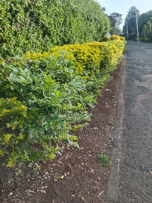 Plot on Sale Land in Sale