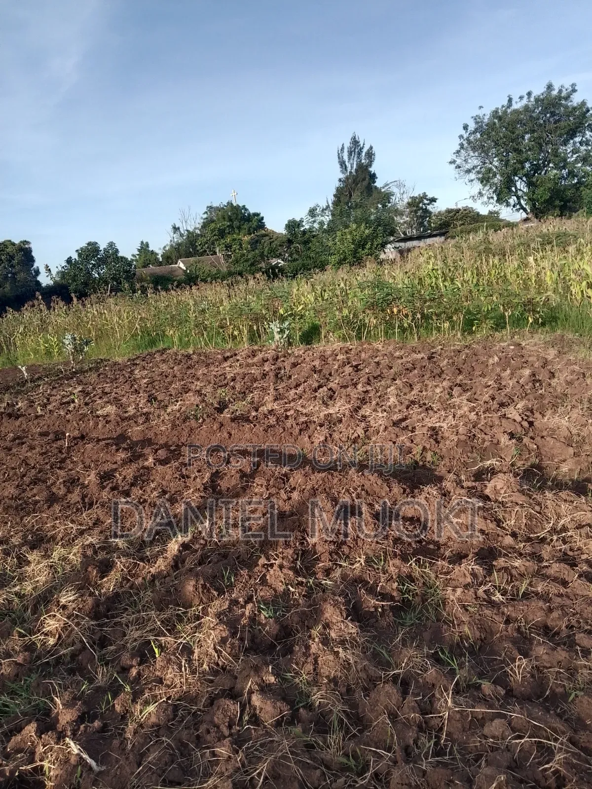 Plot on Sale Land in Sale