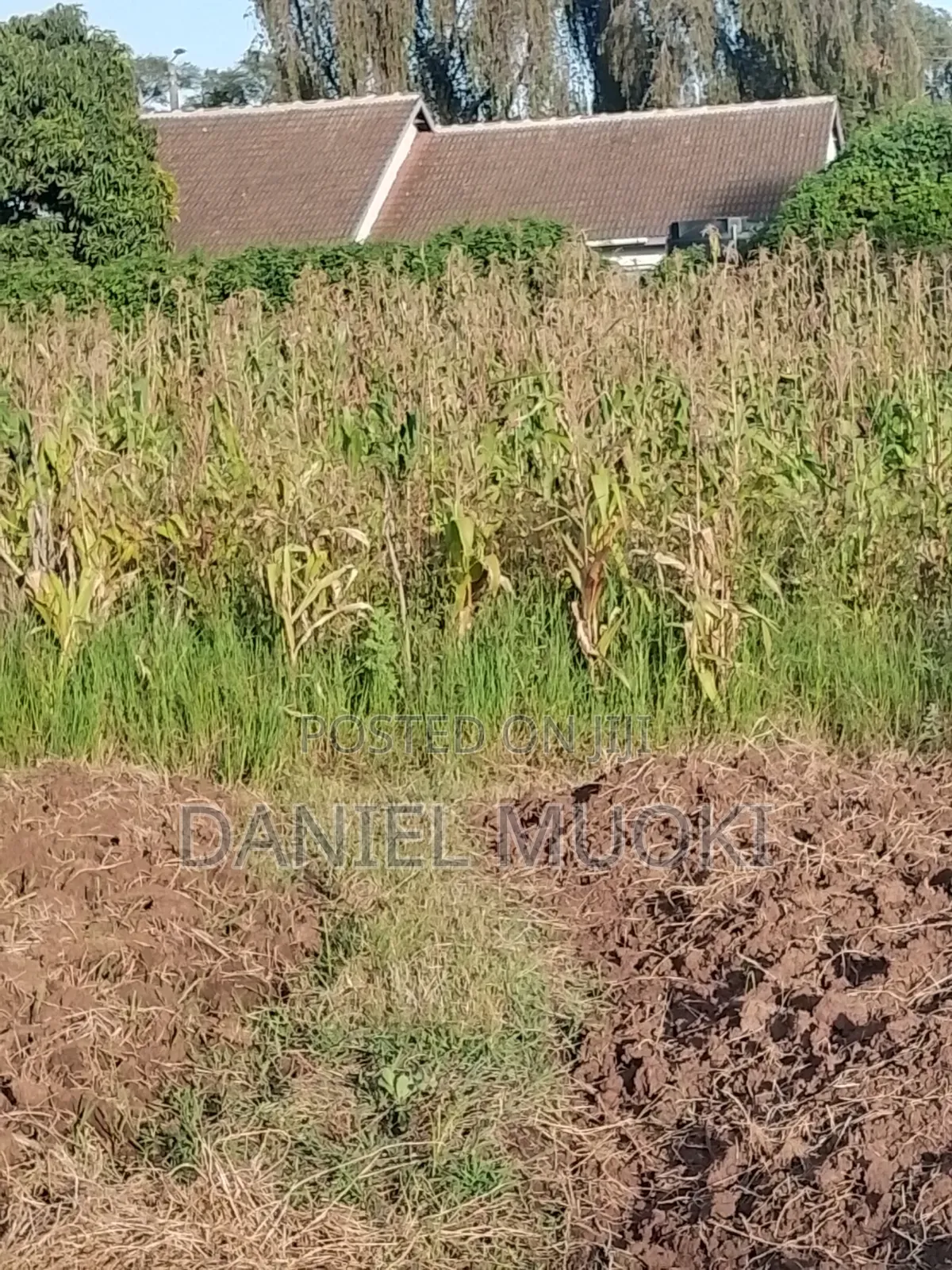Plot on Sale Land in Sale