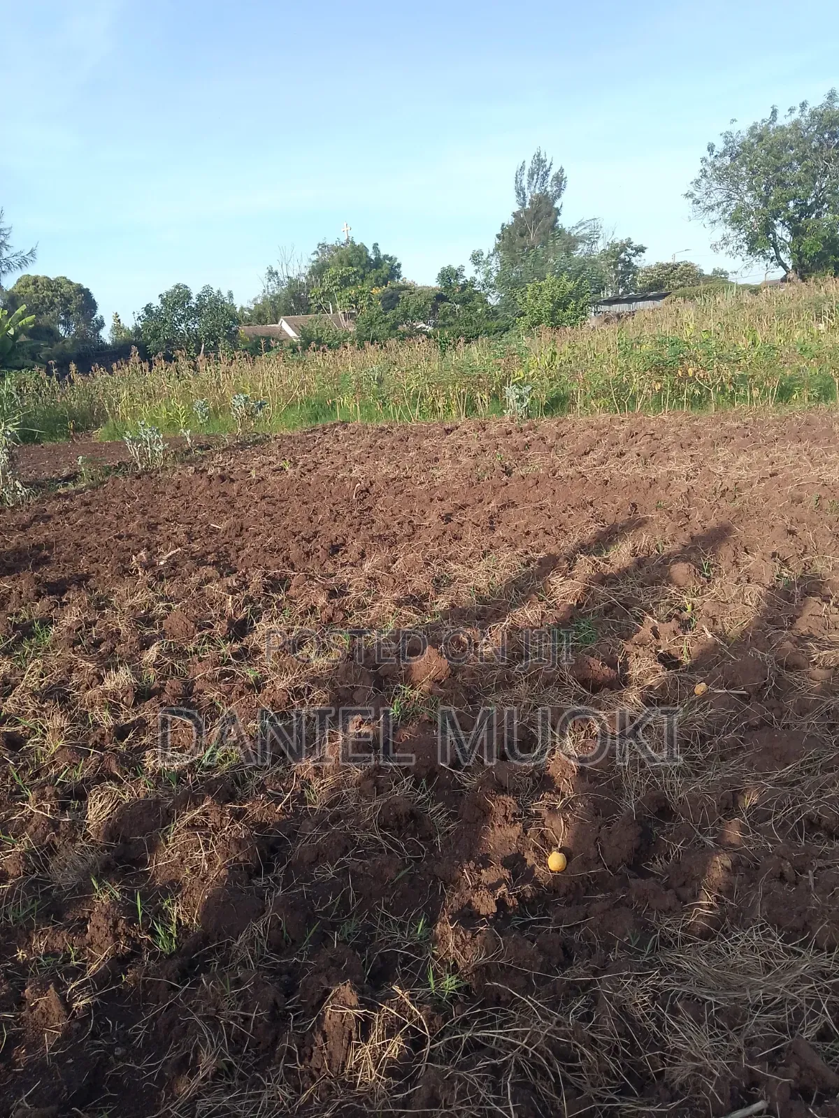 Plot on Sale Land in Sale