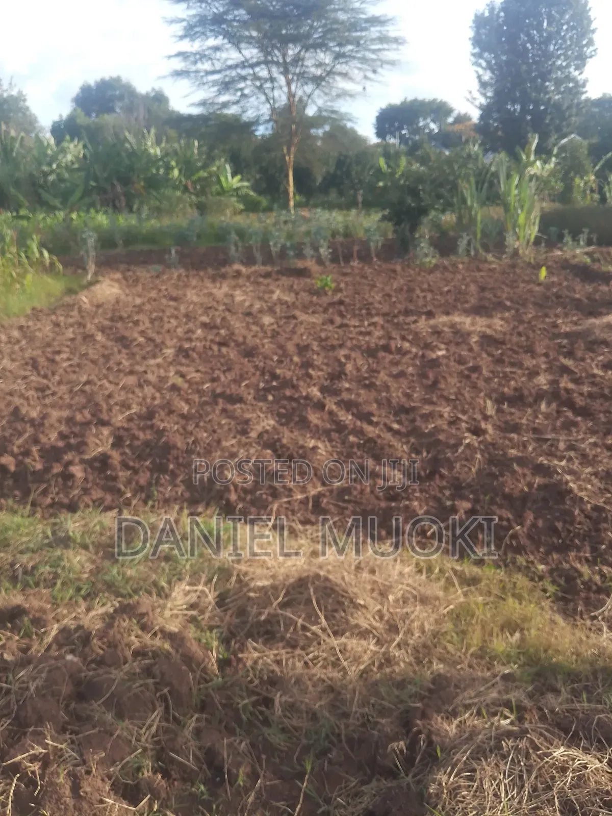 Plot on Sale Land in Sale