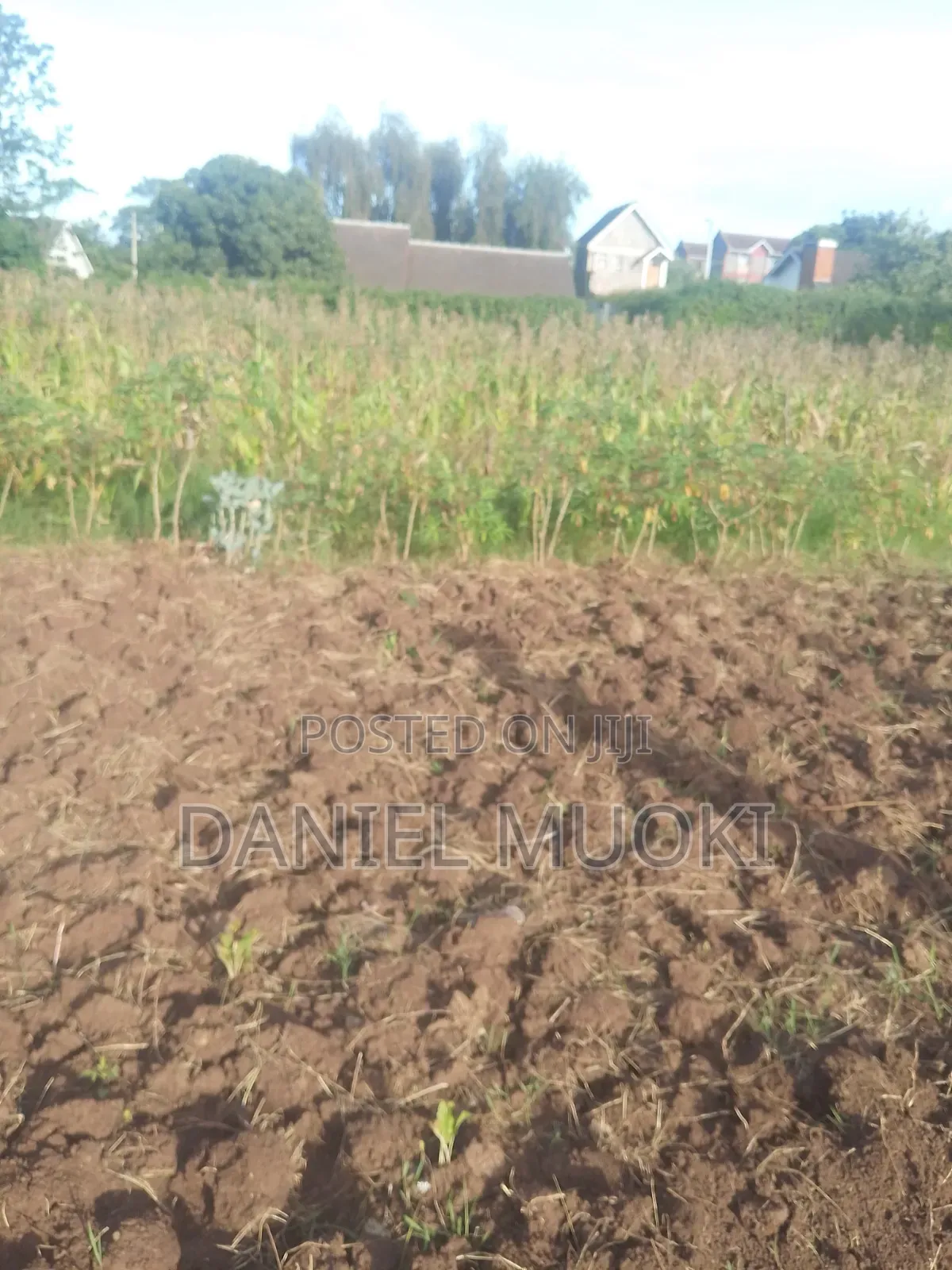 Plot on Sale Land in Sale