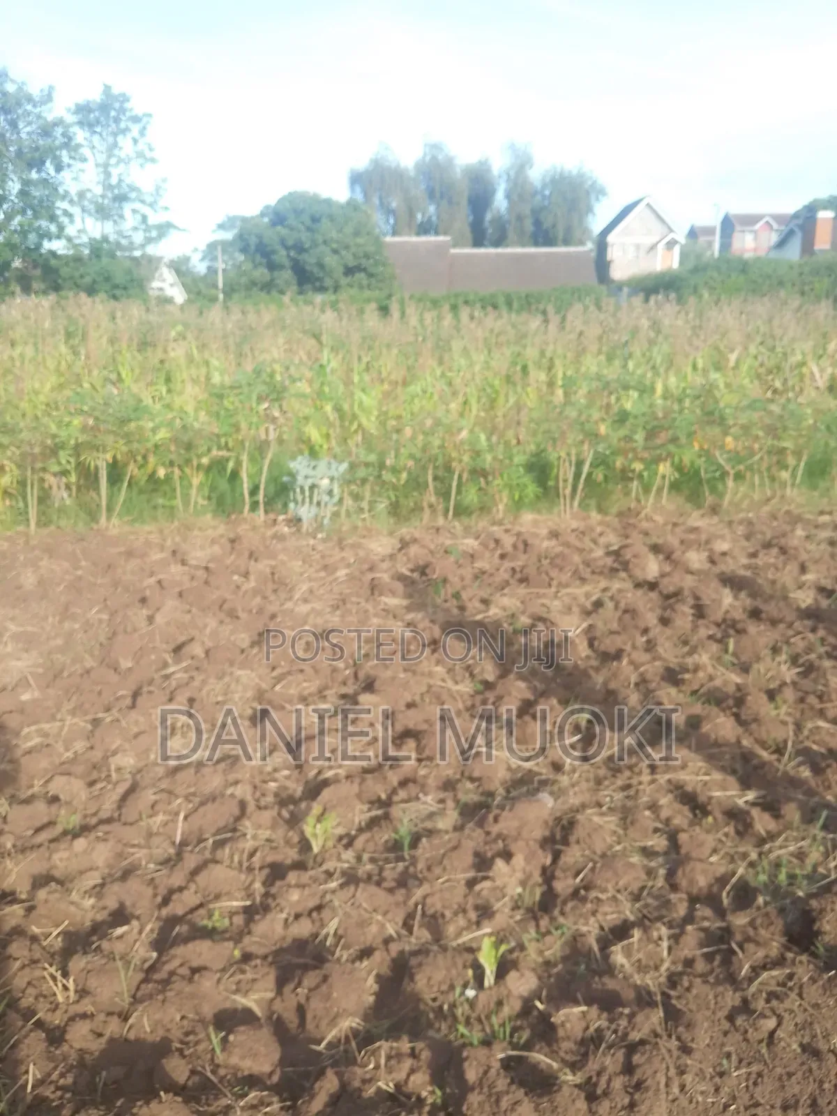 Plot on Sale Land in Sale