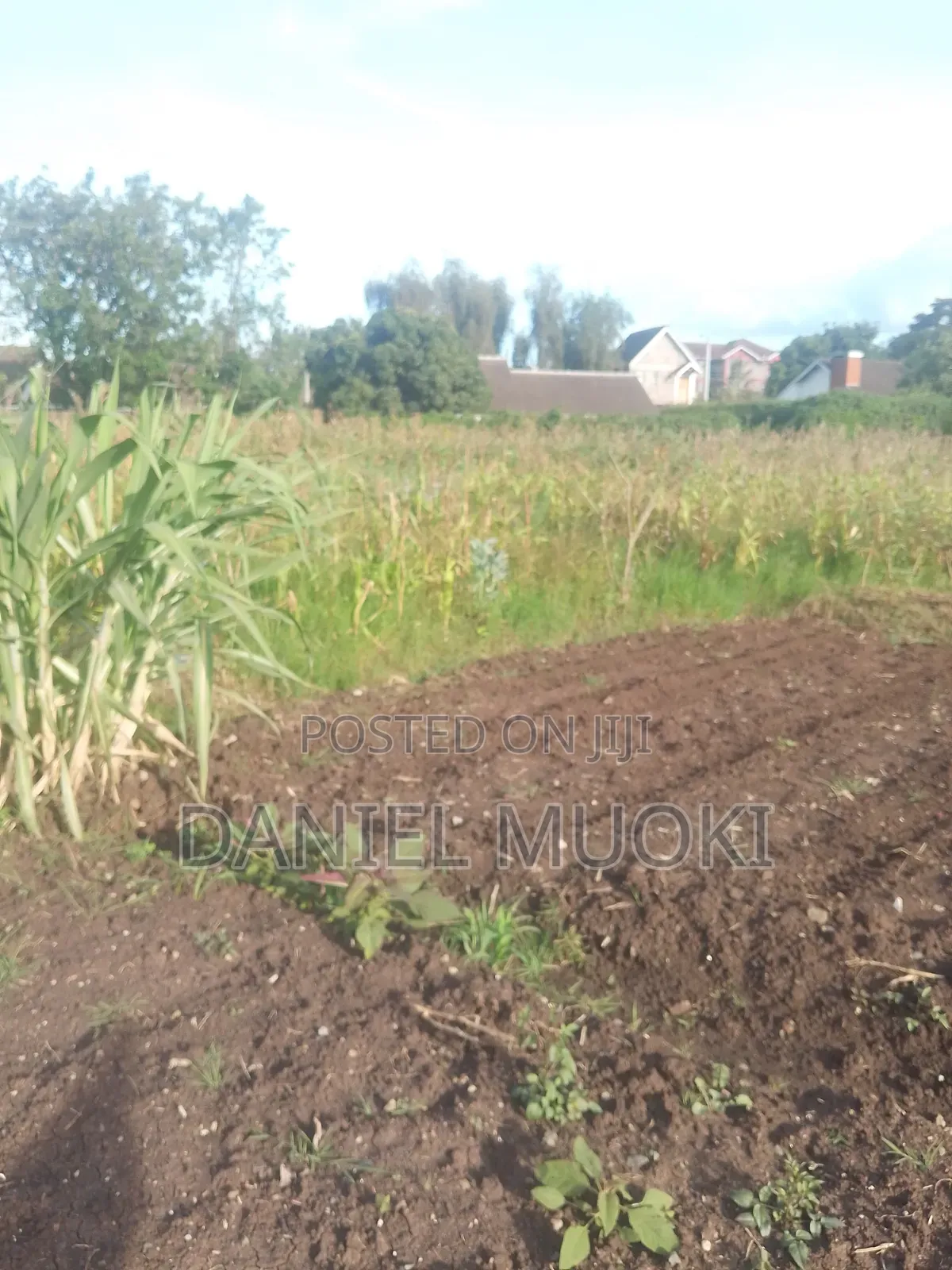 Plot on Sale Land in Sale