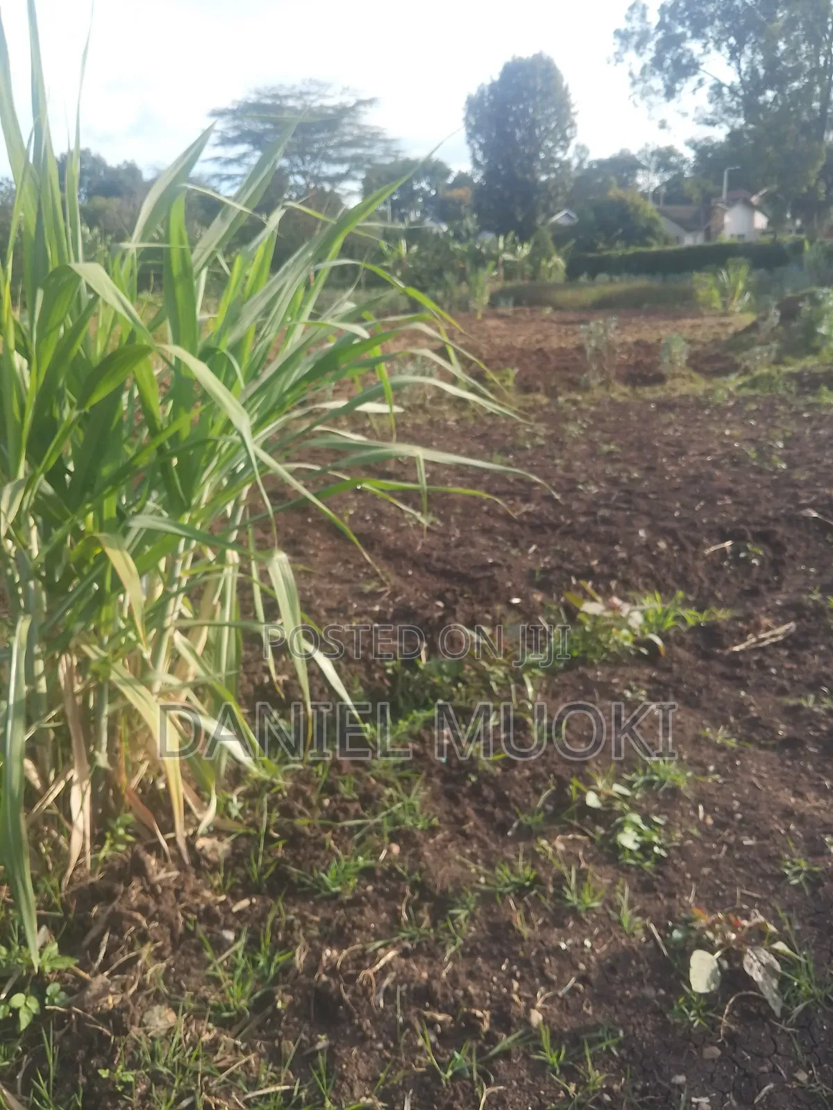 Plot on Sale Land in Sale