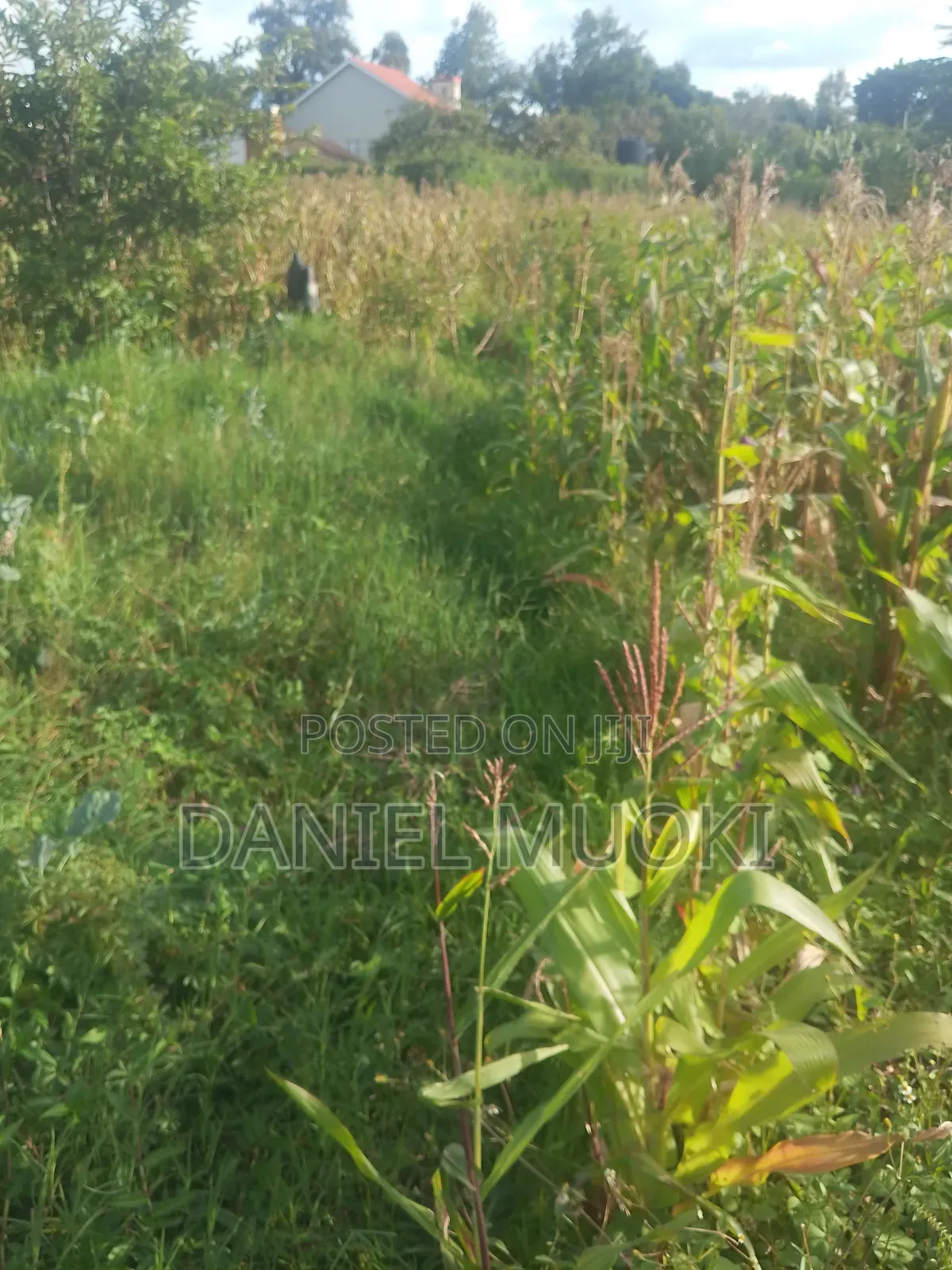 Plot on Sale Land in Sale