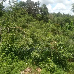 Affordable Land for Sale.