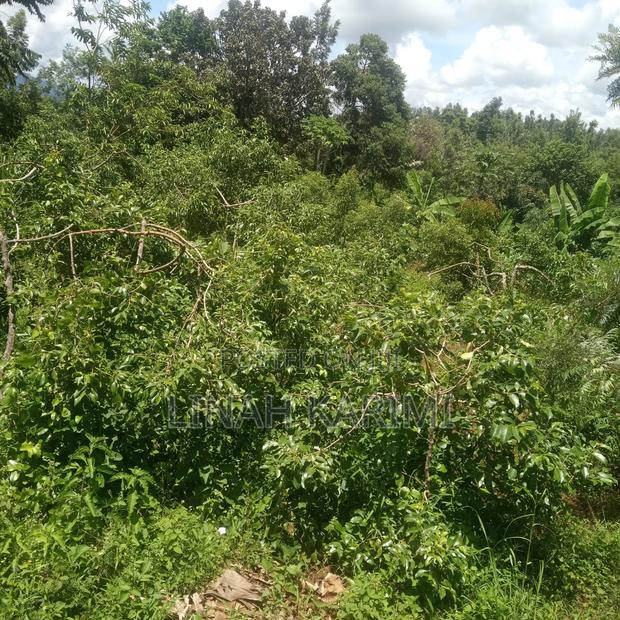 Affordable Land for Sale.