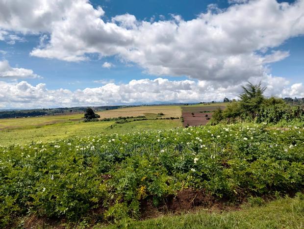 100 Acres of Agricultural Land in Narok: Where Wheat and Wealth Grows