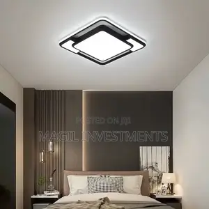 Ceiling Light