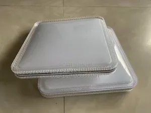 Ceiling Light