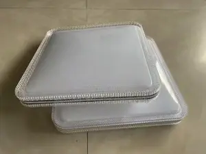 Ceiling Light