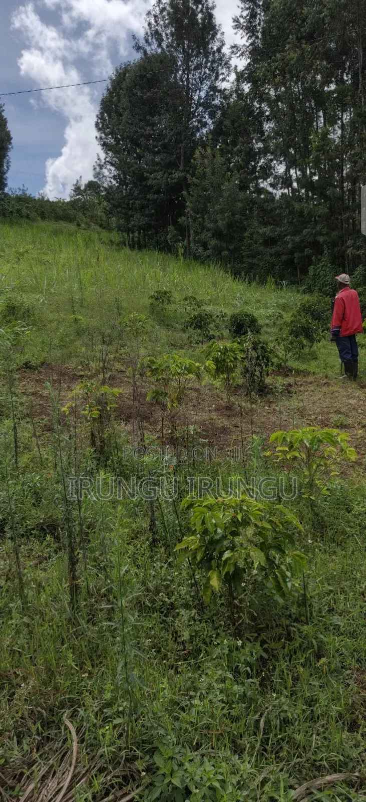 Kibutha Githiru 0.47 Acres of Land for Sale