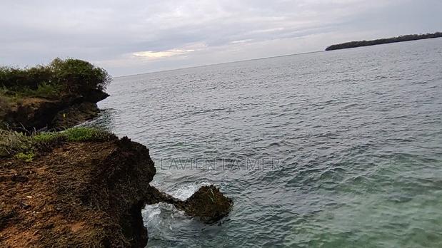 Beach Plot - main view