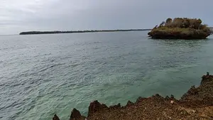 Beach Plot