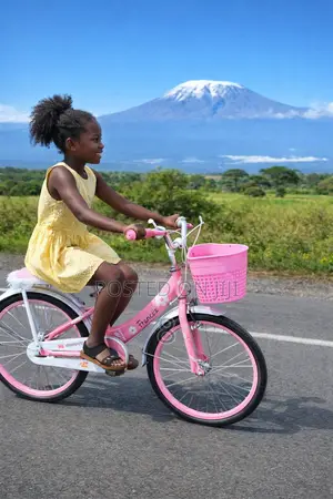 Beautiful Pink Bike for Girls 20 Inch