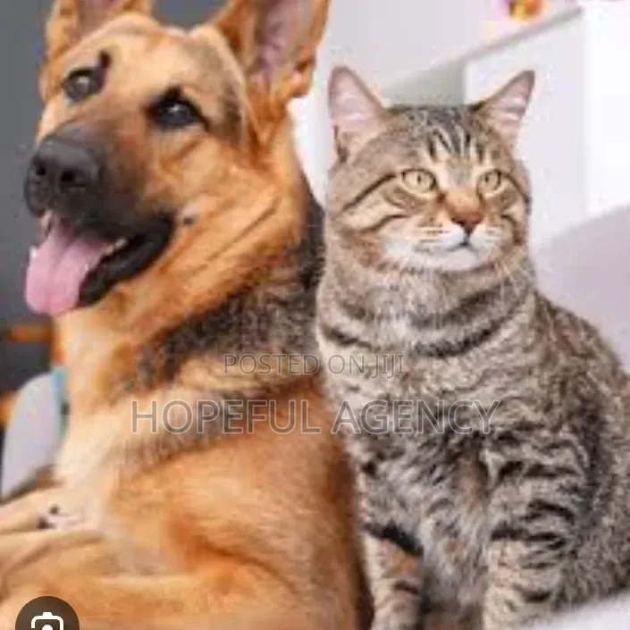 Pet Care /Grooming
