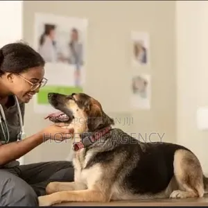 Pet Care /Grooming