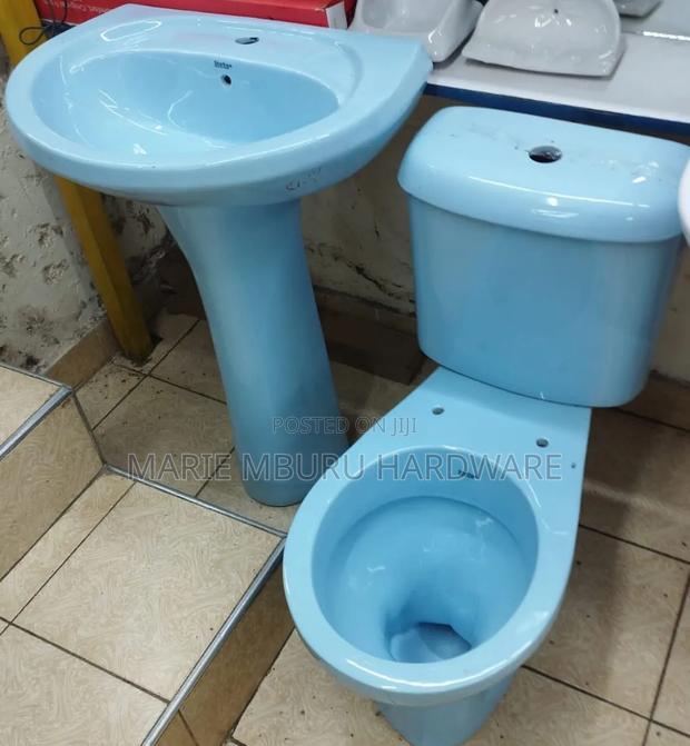 Blue Toilet - main view