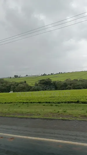-Acre Tea Farm Kericho With| Factory, River 25 Buying Centres