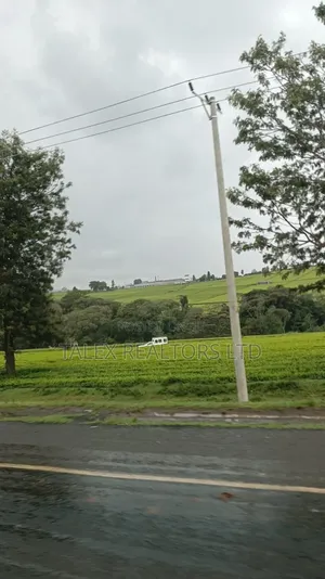-Acre Tea Farm Kericho With| Factory, River 25 Buying Centres