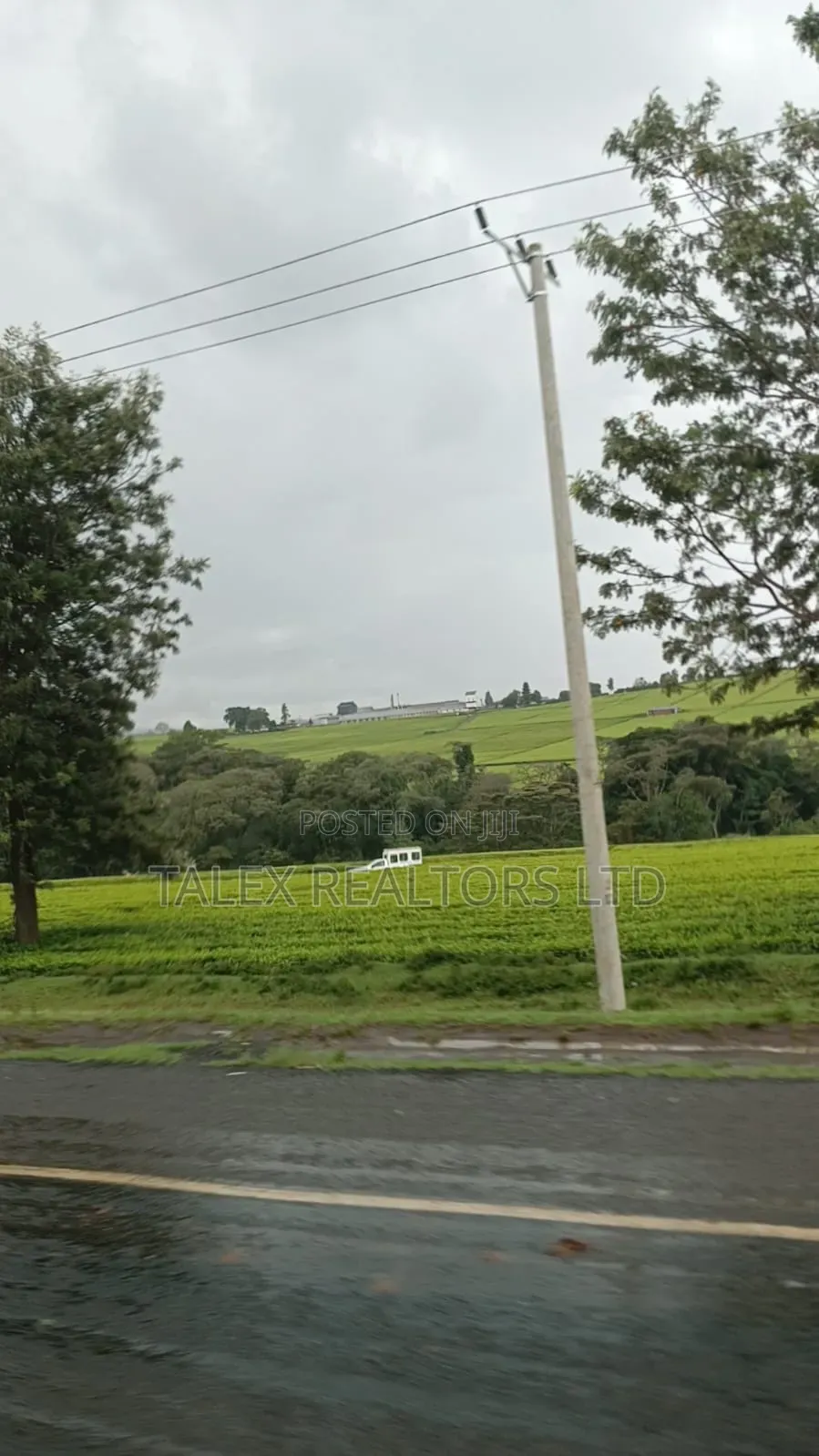 -Acre Tea Farm Kericho With| Factory, River 25 Buying Centres