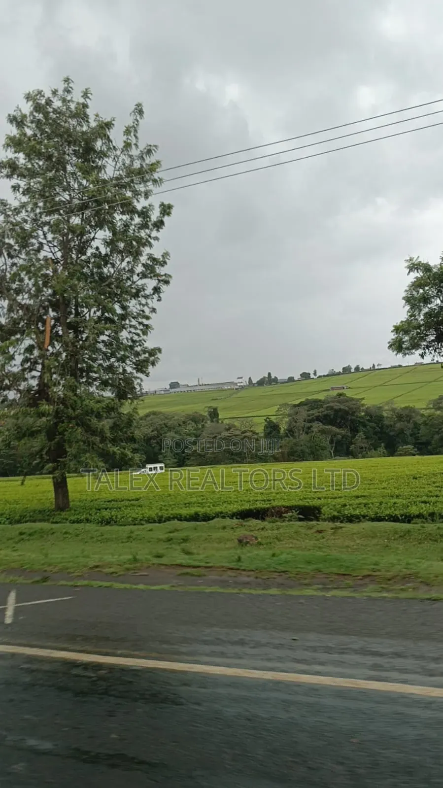 -Acre Tea Farm Kericho With| Factory, River 25 Buying Centres