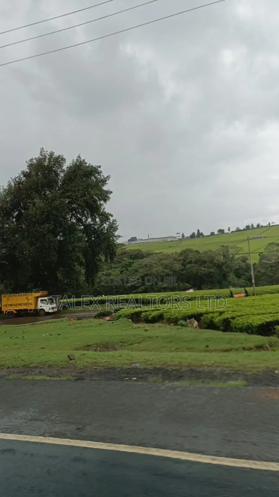 -Acre Tea Farm Kericho With| Factory, River 25 Buying Centres