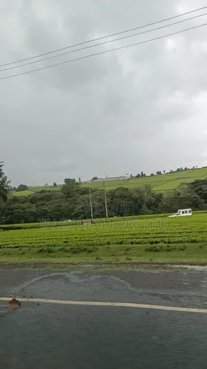 -Acre Tea Farm Kericho With| Factory, River 25 Buying Centres