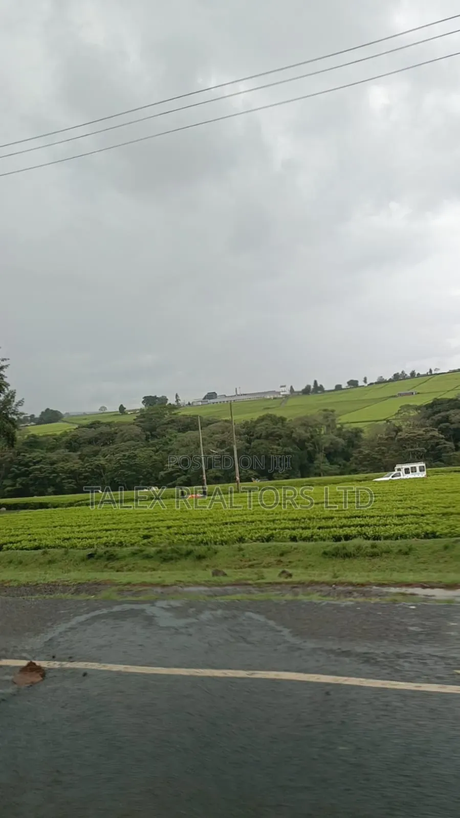 -Acre Tea Farm Kericho With| Factory, River 25 Buying Centres