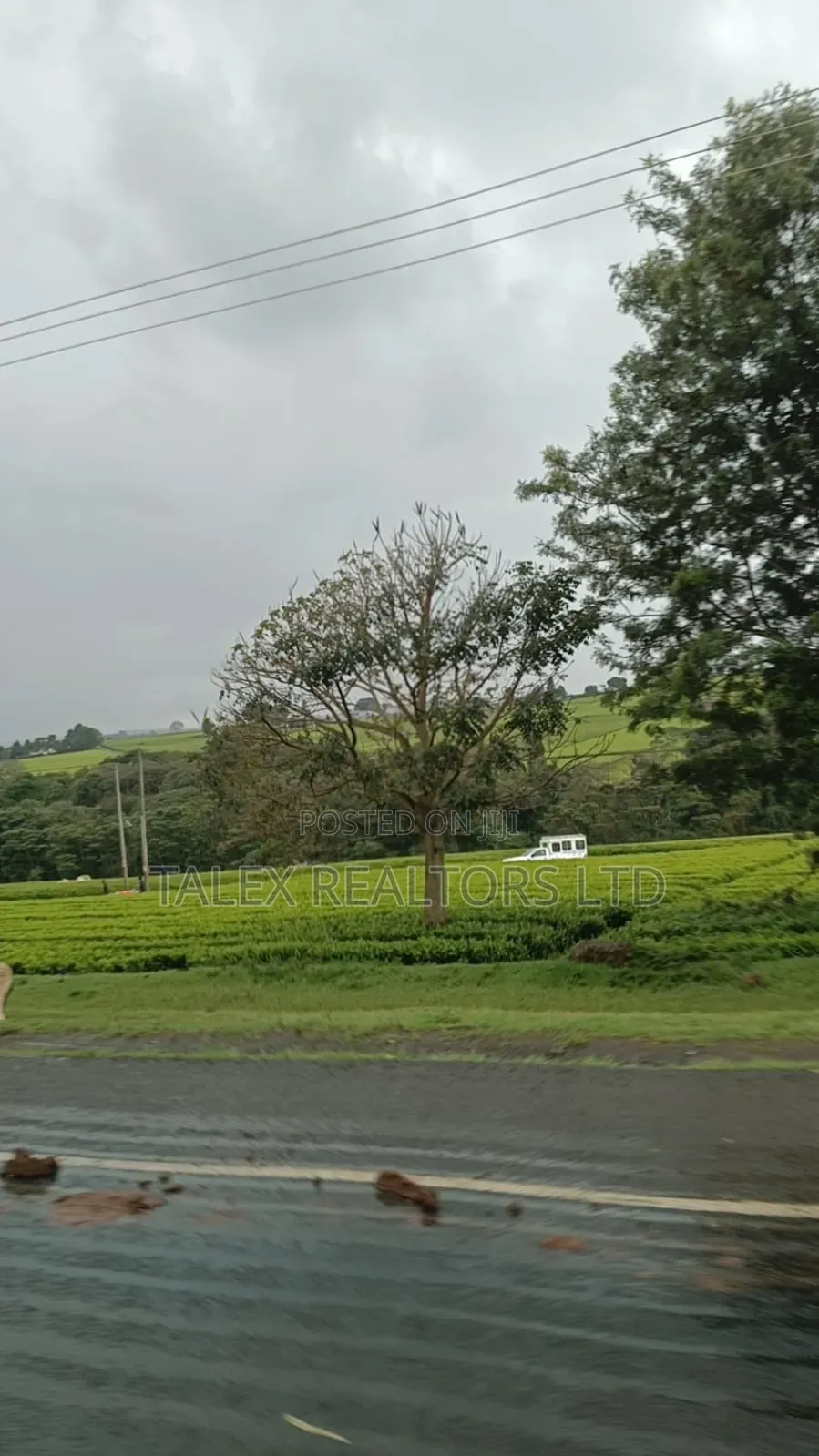 -Acre Tea Farm Kericho With| Factory, River 25 Buying Centres