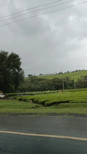 -Acre Tea Farm Kericho With| Factory, River 25 Buying Centres