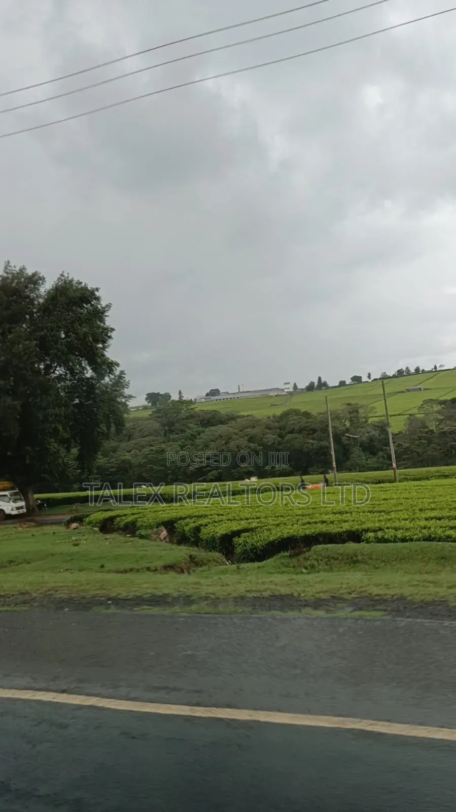 -Acre Tea Farm Kericho With| Factory, River 25 Buying Centres
