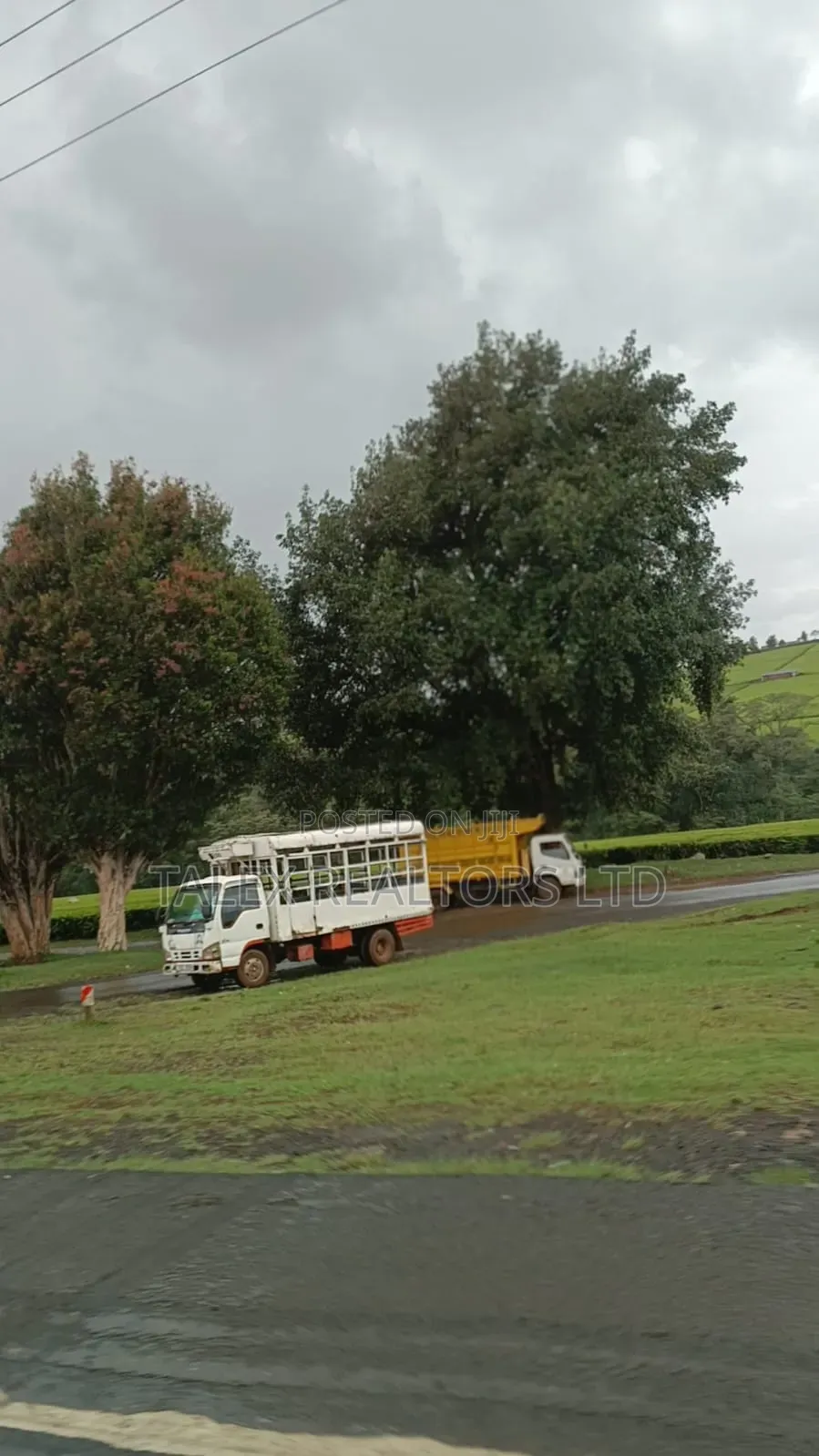 -Acre Tea Farm Kericho With| Factory, River 25 Buying Centres