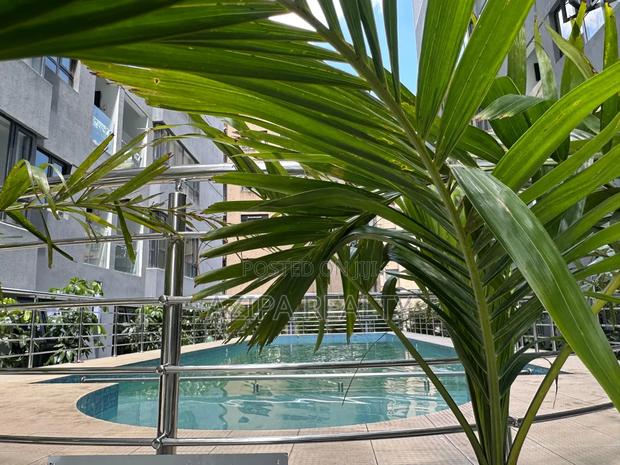 2bdrm Apartment in Lavington, Valley Arcade for rent - thumbnail 3