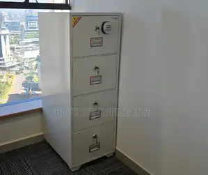Digital Biometrics Safe