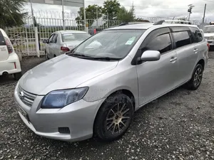 Toyota Corolla Fielder 2011 Silver