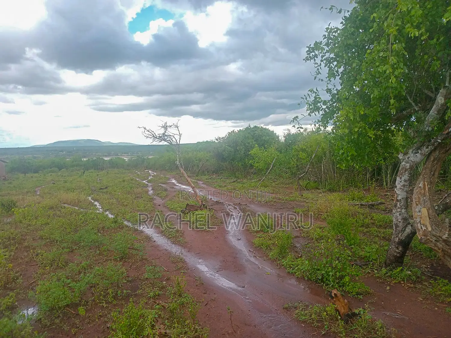 Prime Land for Sale in Malindi