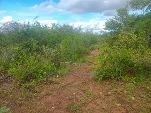 Prime Land for Sale in Malindi